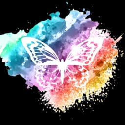 Les Ailes Invisibles®